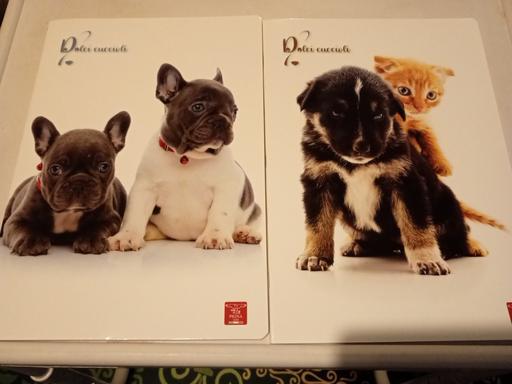 Buy & Sell Horncastle East Lindsey - Photos for 2 brand new A4 size Lined notepads