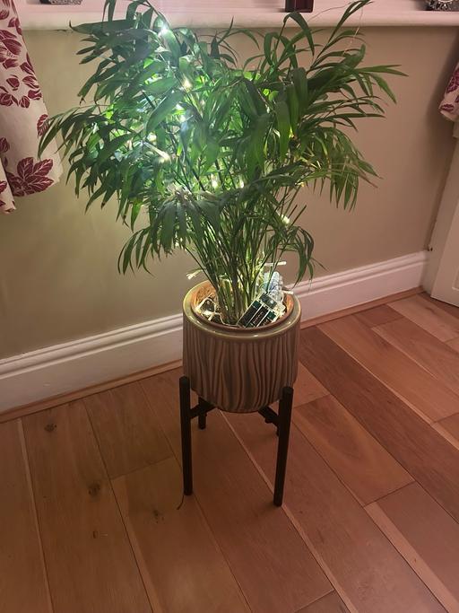 Buy & Sell Stourbridge Dudley - Photos for Plant metal stand and pot