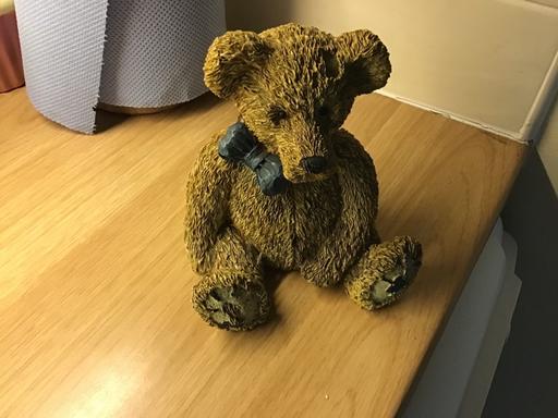 Buy & Sell Essington Wolverhampton - Photos for Teddy bear moneybox