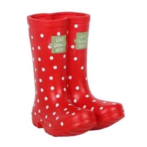 Buy & Sell Crewe Cheshire East - Photos for Red Welly Boot Planter