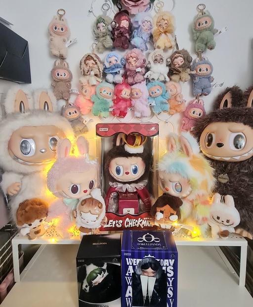 Buy & Sell Bierley Bradford - Photos for Labubus Skullpanda Popmart HUGE Collection