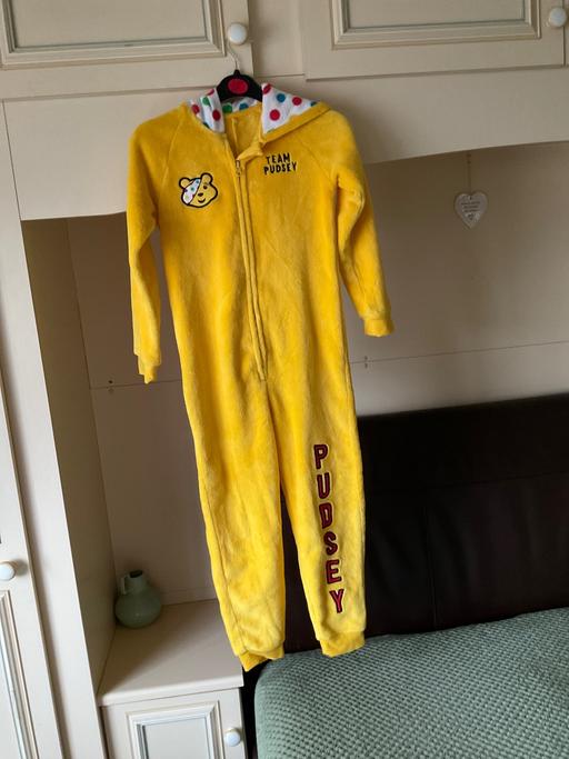 Buy & Sell Princes End Sandwell - Photos for pudsey onsie