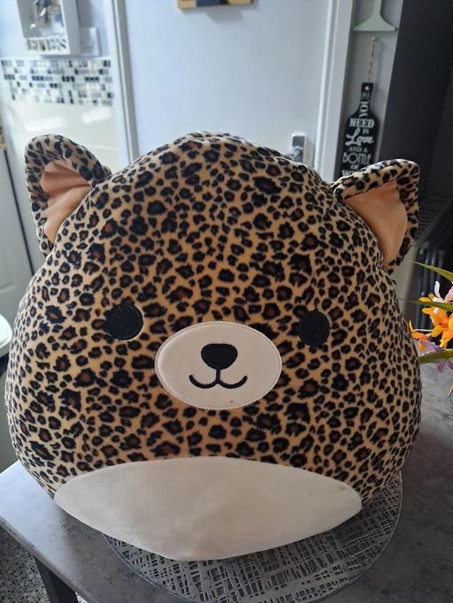 Buy & Sell Park Hill Sheffield - Photos for large pillow / cushion