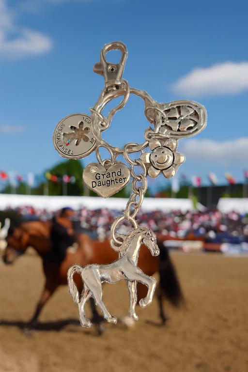 Buy & Sell Sirhowy Blaenau Gwent - Photos for Granddaughter Equestrian keychain keyring