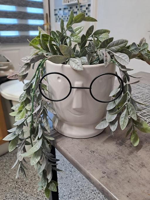 Buy & Sell Gleadless Valley Sheffield - Photos for planter with trailing plant