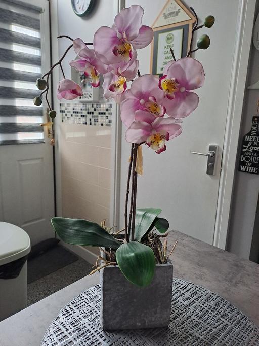 Buy & Sell Park Hill Sheffield - Photos for real looking artificial plant