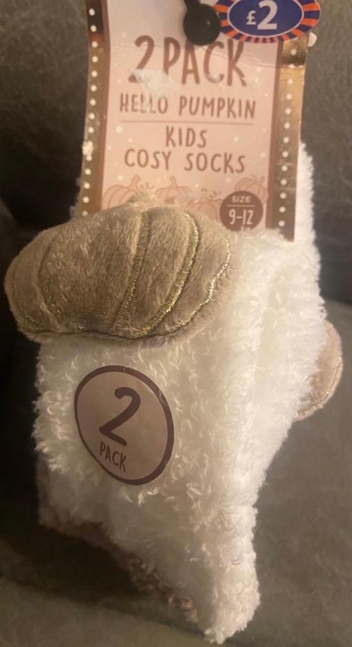 Buy & Sell Camp Hill Birmingham - Photos for Kids cosy socks size 9-12