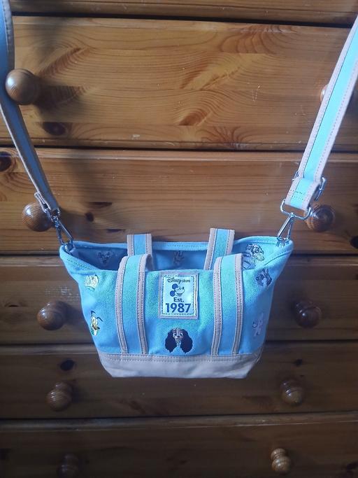 Buy & Sell Ocker Hill Sandwell - Photos for Disney dog bag