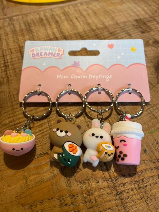 Buy & Sell Conisbrough Doncaster - Photos for New tagged key rings x4