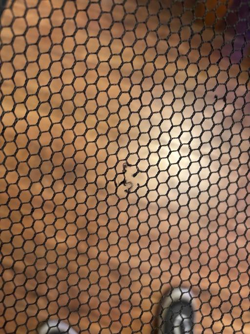 Buy & Sell Gornal Wood Dudley - Photos for Middy match black fishing net