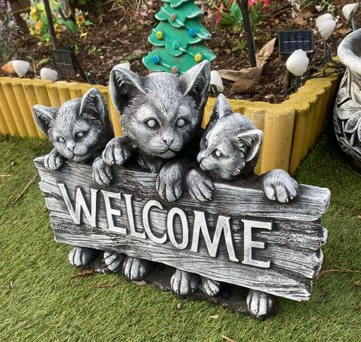 Buy & Sell Moseley Birmingham - Photos for Cat Welcome