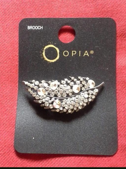 Buy & Sell Grafton Street Industrial Estate West Northamptonshire - Photos for Beautiful brooch