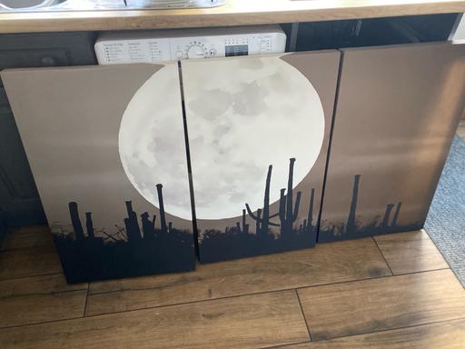 Buy & Sell Tividale Sandwell - Photos for 3 piece Picture