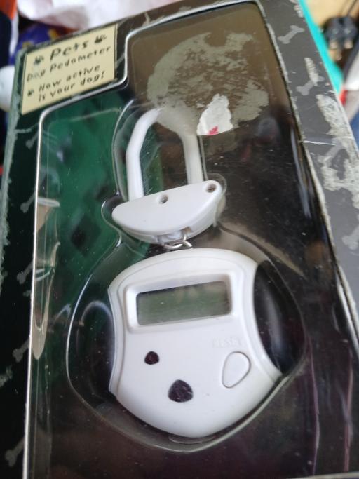 training Quarry Bank Dudley - Photos for dog pedometer never been