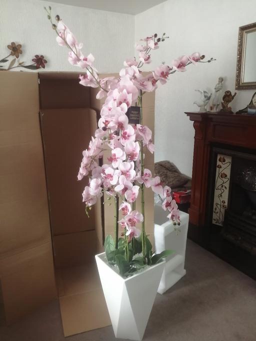 Buy & Sell Heath Town Wolverhampton - Photos for New Julien Mcdonald faux orchid in pot