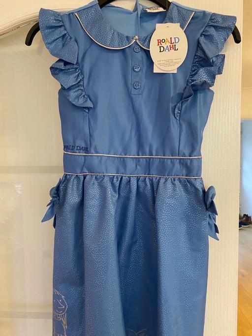 Buy & Sell Penn Wolverhampton - Photos for Fancy dress. BNWT Matilda fancy dress