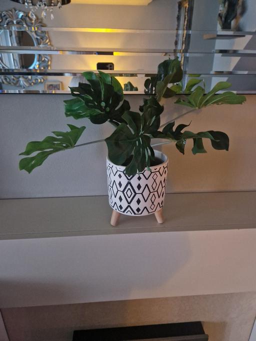 Buy & Sell Scholes Rotherham - Photos for a artificial plant in a black /white pot