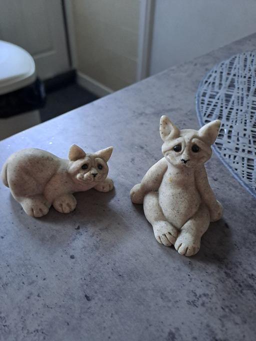 Buy & Sell Gleadless Valley Sheffield - Photos for little critters