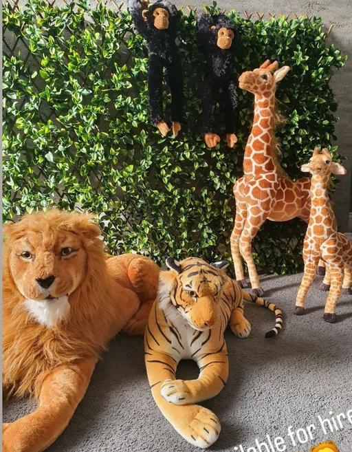 Buy & Sell Blackburn Blackburn with Darwen - Photos for wild animals