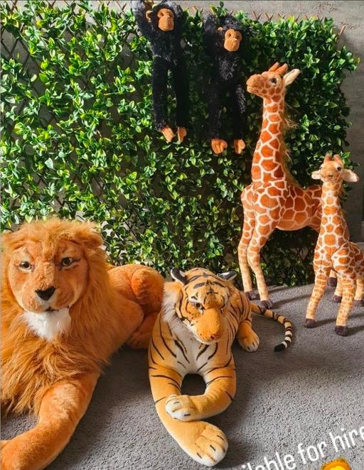 Buy & Sell Blackburn Blackburn with Darwen - Photos for wild animals