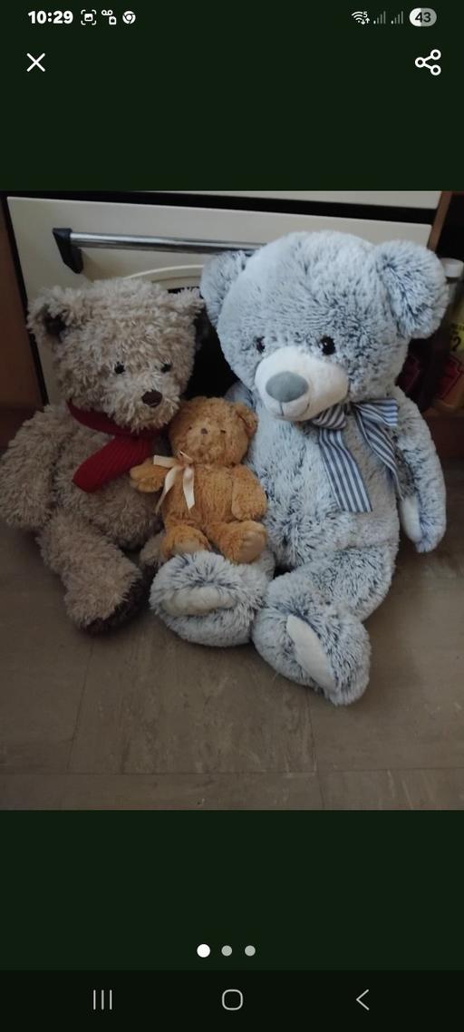 Buy & Sell Stow Heath Wolverhampton - Photos for 3 Bears.