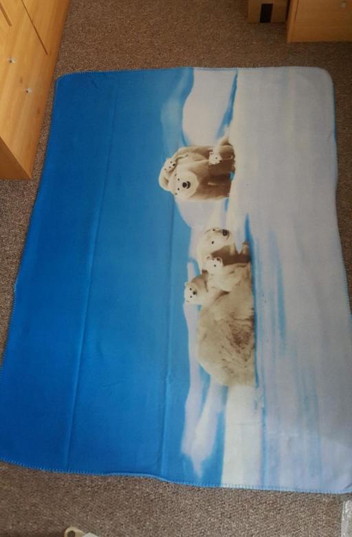Buy & Sell Grafton Street Industrial Estate West Northamptonshire - Photos for Polar bear blanket