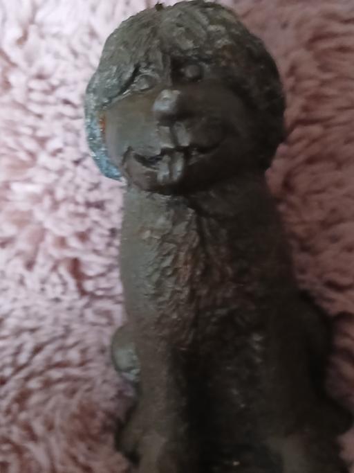 Buy & Sell Netherton Dudley - Photos for old dog feel heavy like lead