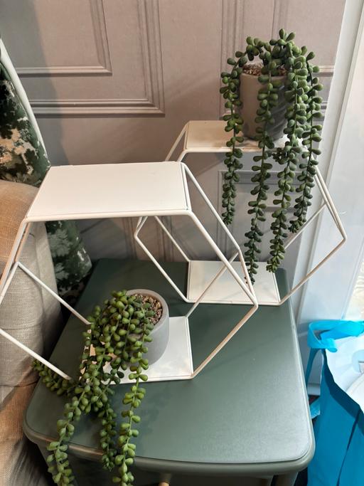 Buy & Sell Bartley Green Birmingham - Photos for Pair of wall shelves and plants
