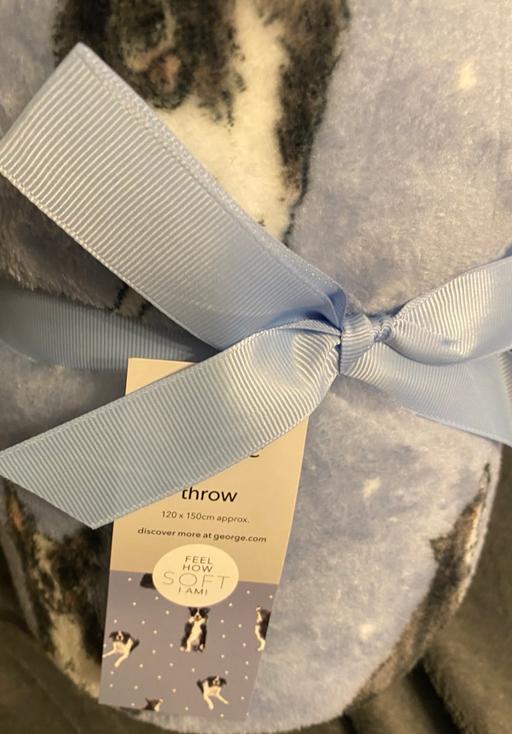 Buy & Sell Camp Hill Birmingham - Photos for Collie dog throw 120x150cm