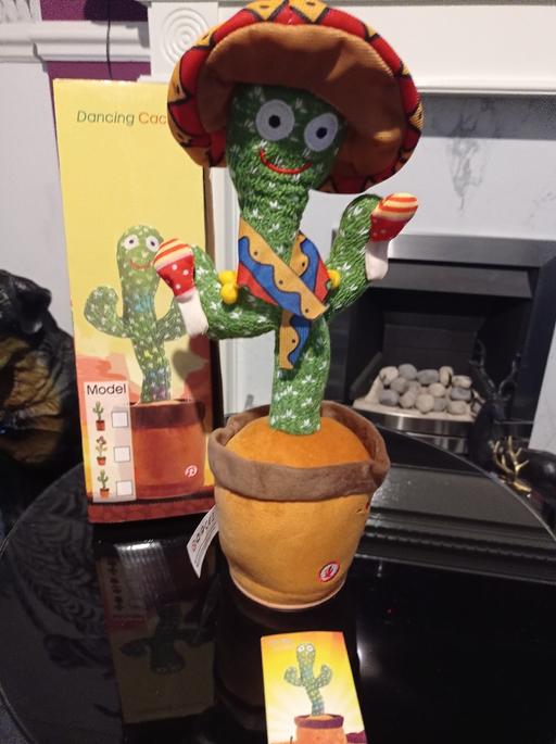 Buy & Sell Hednesford Cannock Chase - Photos for Dancing &Talking Cactus 🌵