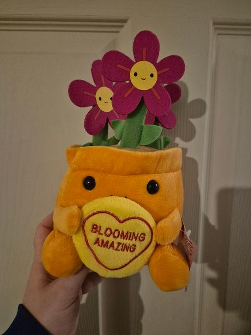 Buy & Sell Crumpsall Manchester - Photos for new Love Hearts Plant Pot Plush