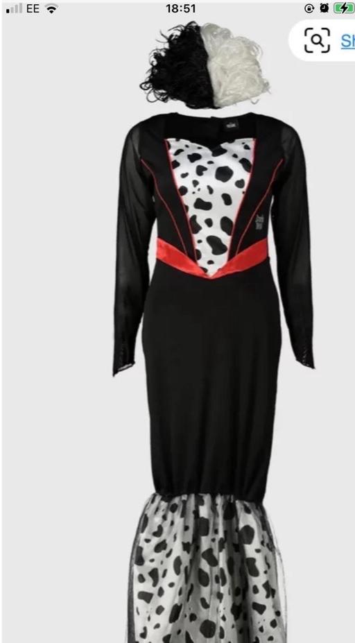 Buy & Sell Castle Gresley South Derbyshire - Photos for BNWT Adult Cruella costume with wig 8-10