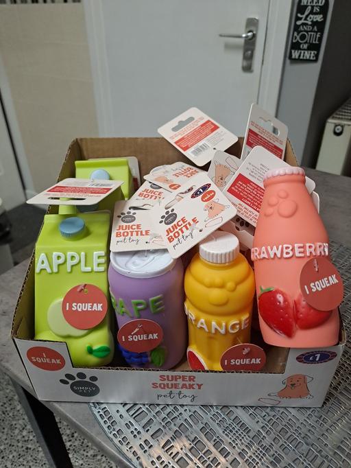 Buy & Sell Park Hill Sheffield - Photos for full case 12 squeaky dog toys
