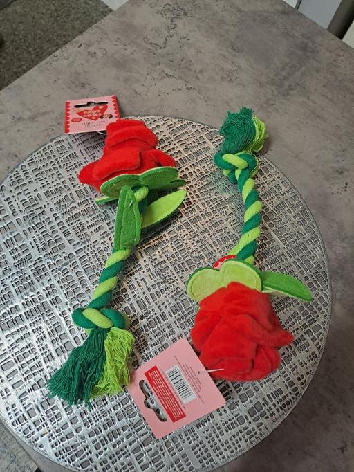 Buy & Sell Heeley Sheffield - Photos for 2x dog toys