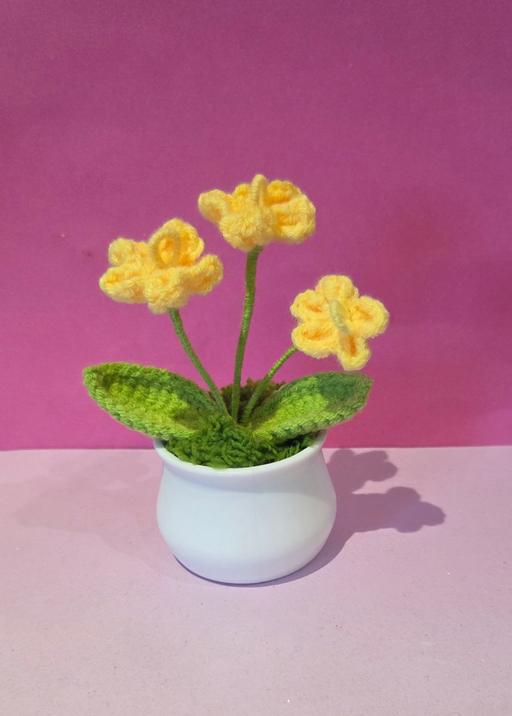 training Westgate-on-Sea Thanet - Photos for CROCHET FLOWERS