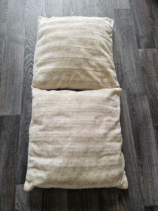 Buy & Sell Rainstorth Rotherham - Photos for Two furry cushions