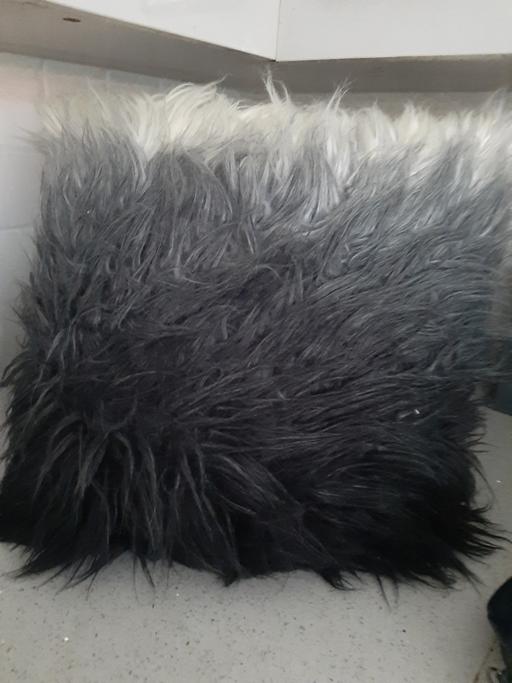 Buy & Sell South Hylton Sunderland - Photos for cushion