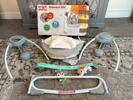 Buy & Sell Littleover Derby - Photos for Bright Starts Whimsical Wild Swing