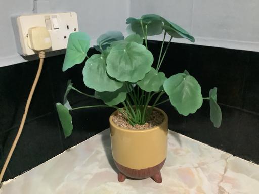 Buy & Sell Harborne Birmingham - Photos for Plant Artificail in pot