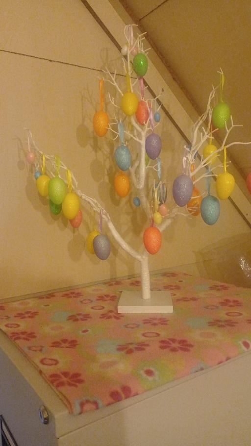 Buy & Sell Golds Hill Sandwell - Photos for Easter tree & eggs