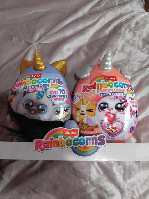 Buy & Sell Kings Norton Birmingham - Photos for 2 rainbocorns
