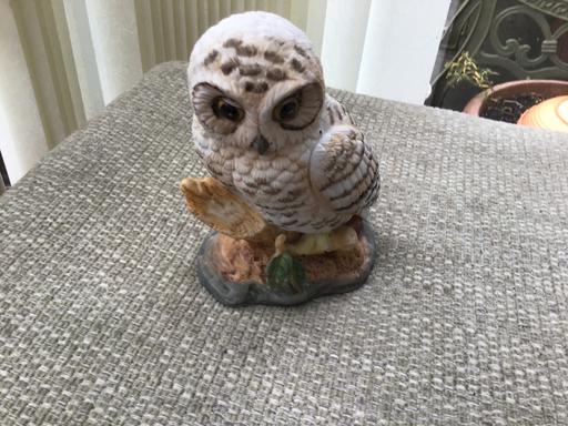 Buy & Sell Essington Wolverhampton - Photos for Snowy owl ornament