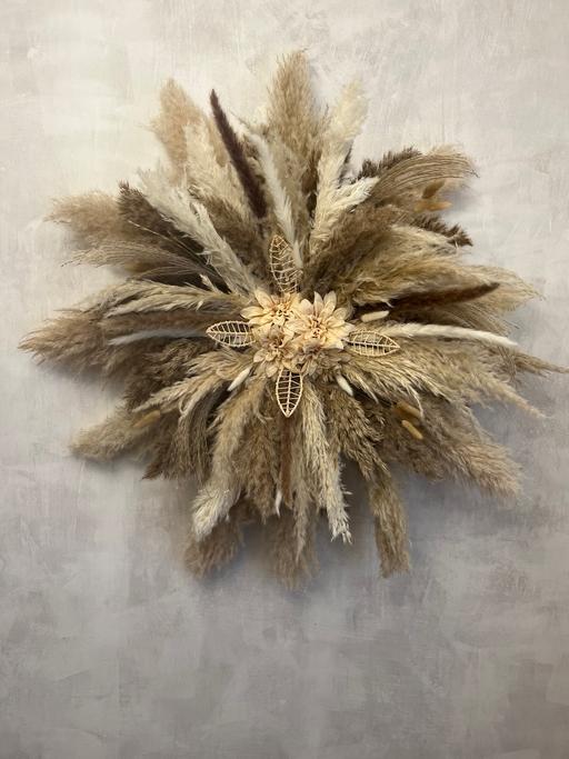 Buy & Sell Woodsetton Dudley - Photos for Pampas wall decor