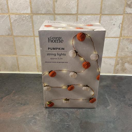 Buy & Sell Roby Knowsley - Photos for Pumpkin String LED Lights