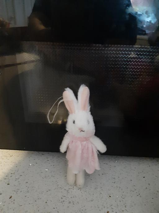 Buy & Sell Castletown Sunderland - Photos for mini bunny