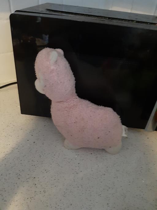 Buy & Sell South Hylton Sunderland - Photos for llama