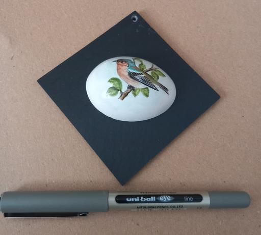 Buy & Sell Thatto Heath Saint Helens - Photos for thomas gibb chaffinch original artwork