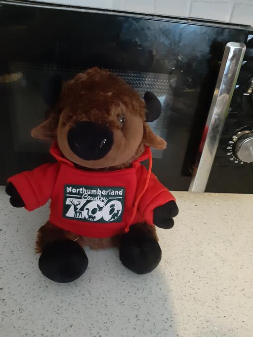 Buy & Sell South Hylton Sunderland - Photos for toy