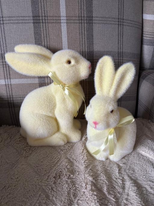 Buy & Sell Golds Hill Sandwell - Photos for Easter bunnies