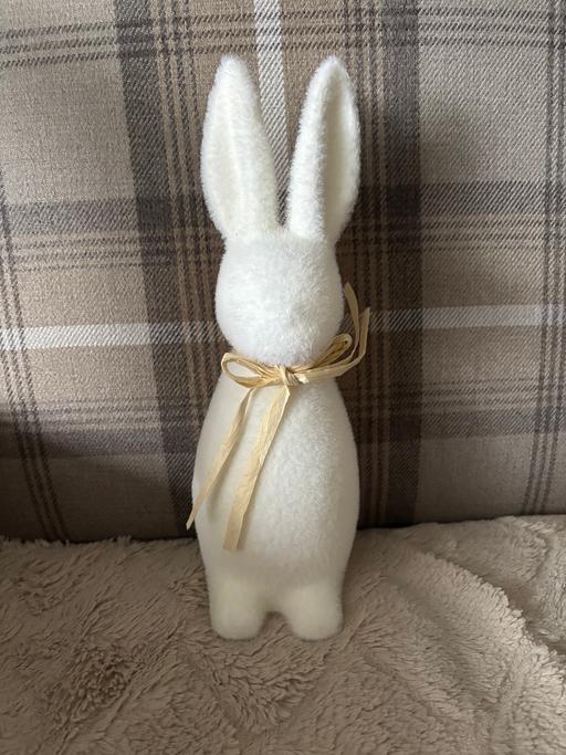 Buy & Sell Golds Hill Sandwell - Photos for Easter bunnies